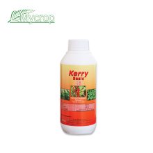 Kerry Basic 1L