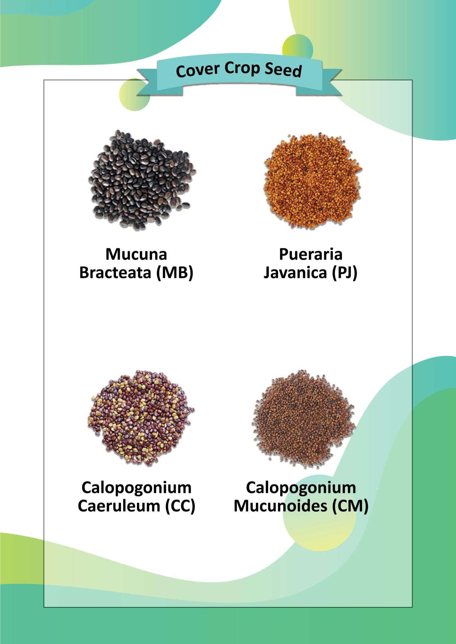 Cover Crop Seed Mycrop Sdn. Bhd.