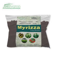 Myrizza